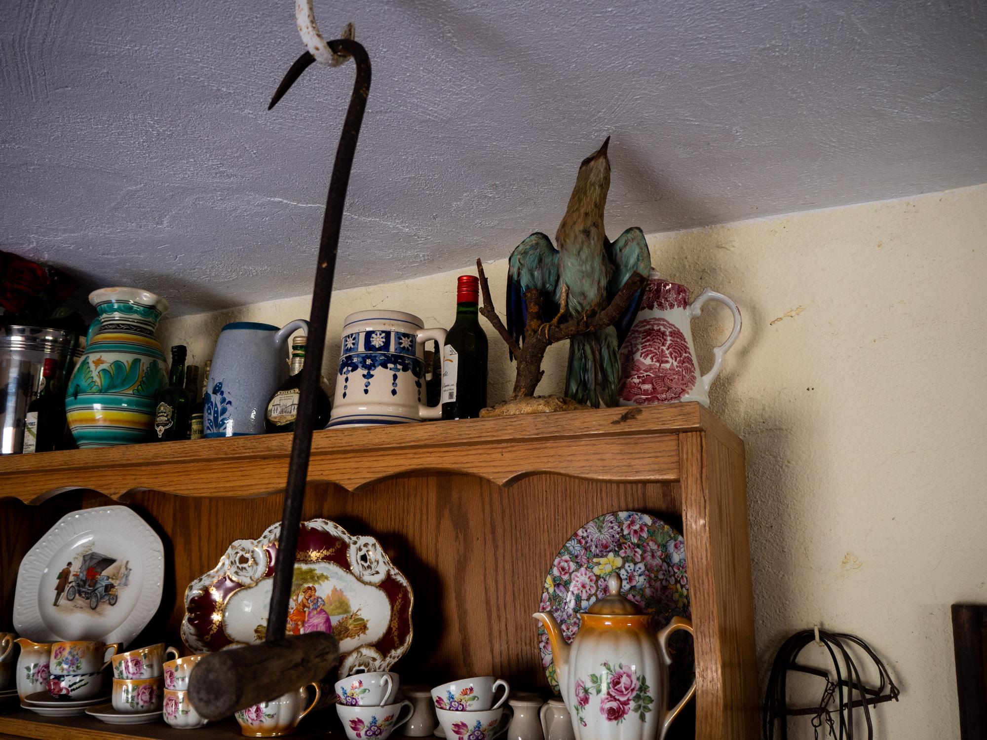 OLYMPUS DIGITAL CAMERA