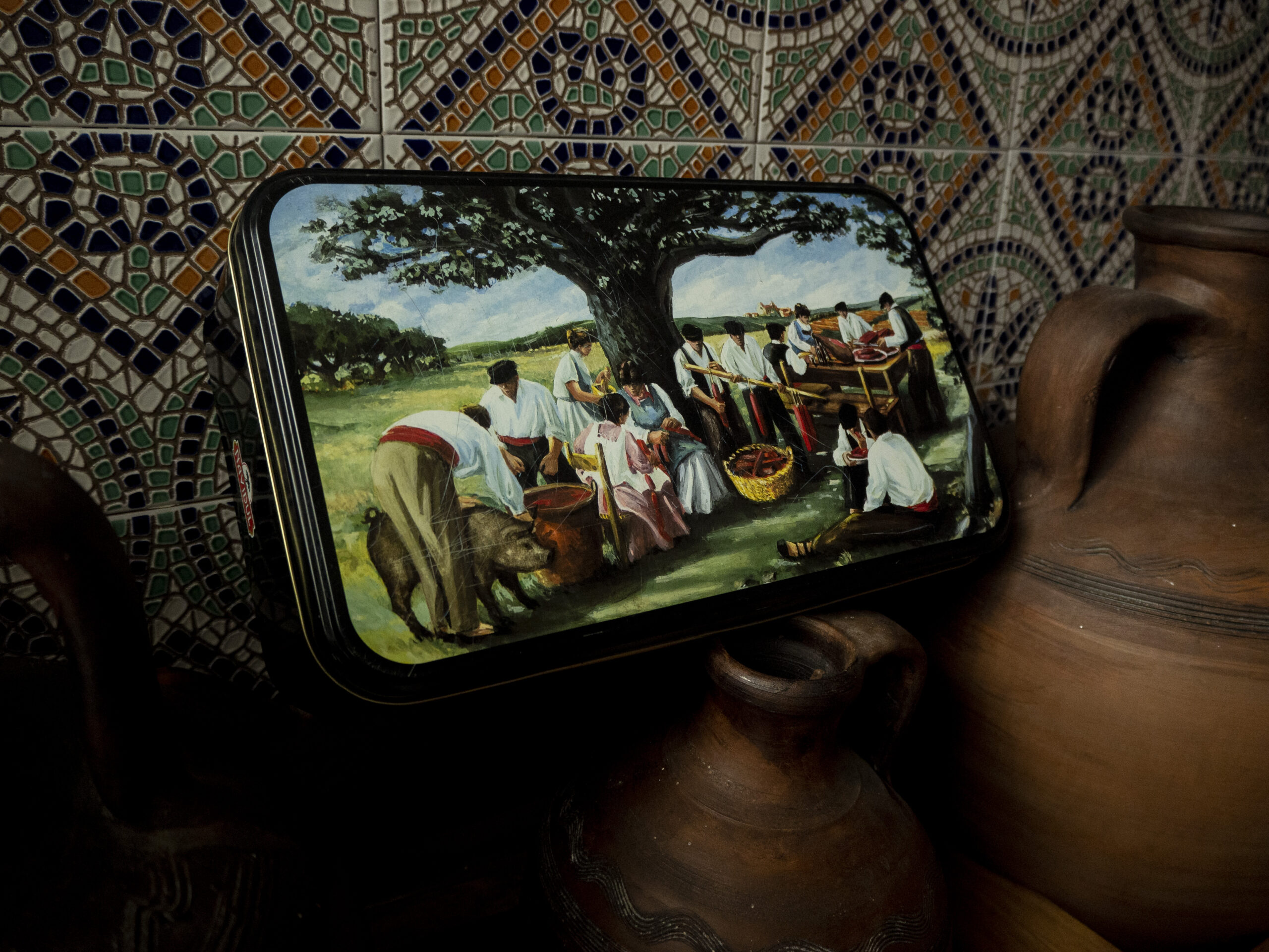 OLYMPUS DIGITAL CAMERA