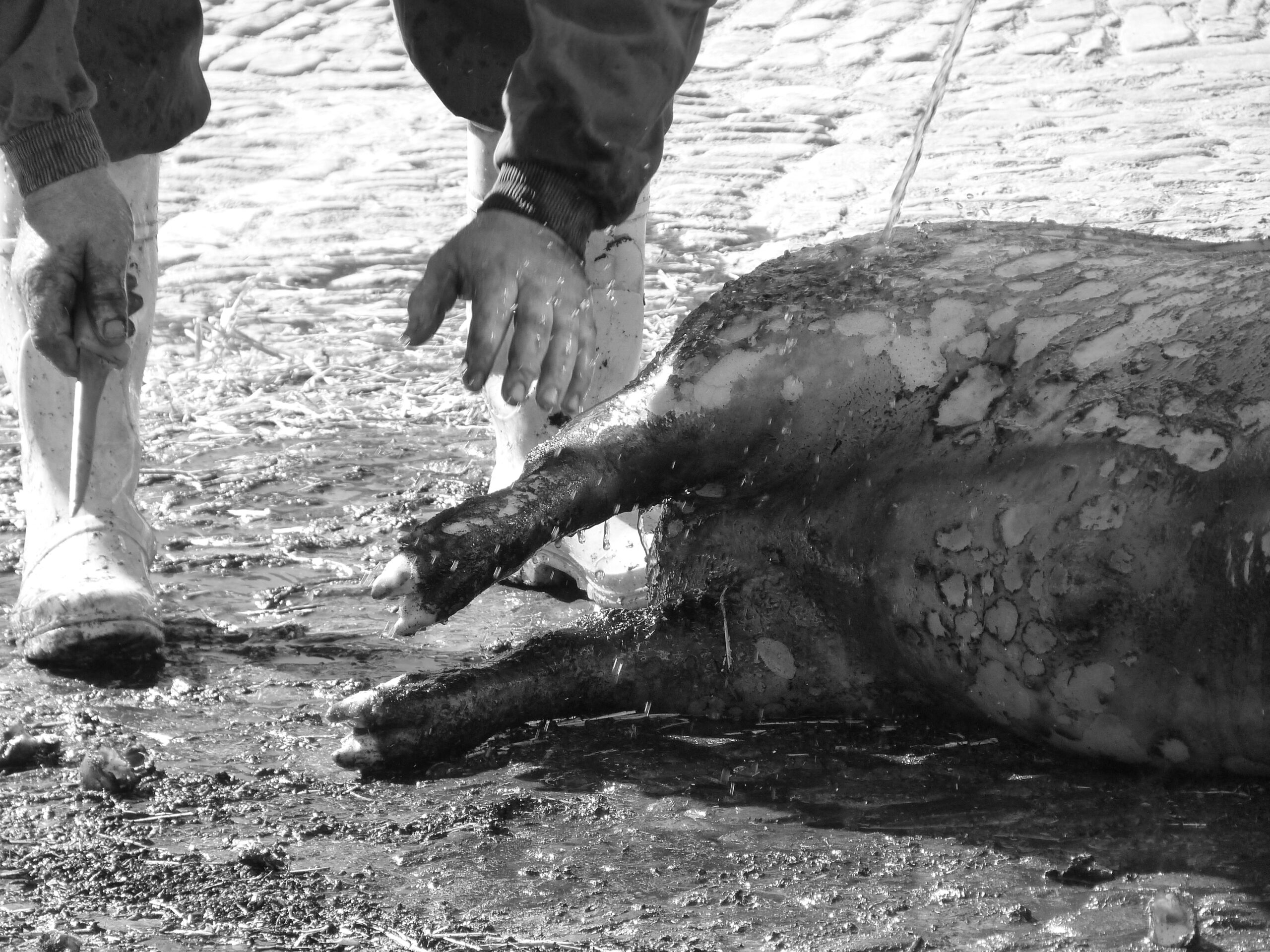 7135516949_46046fd1aa_o