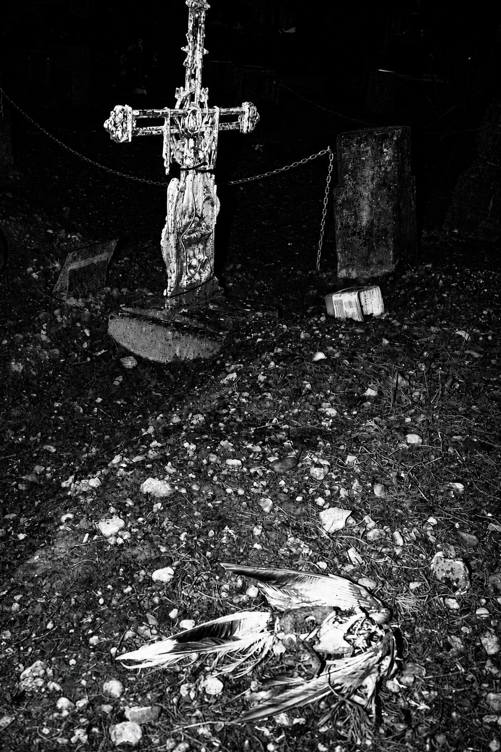 Tierra de nadie (20)