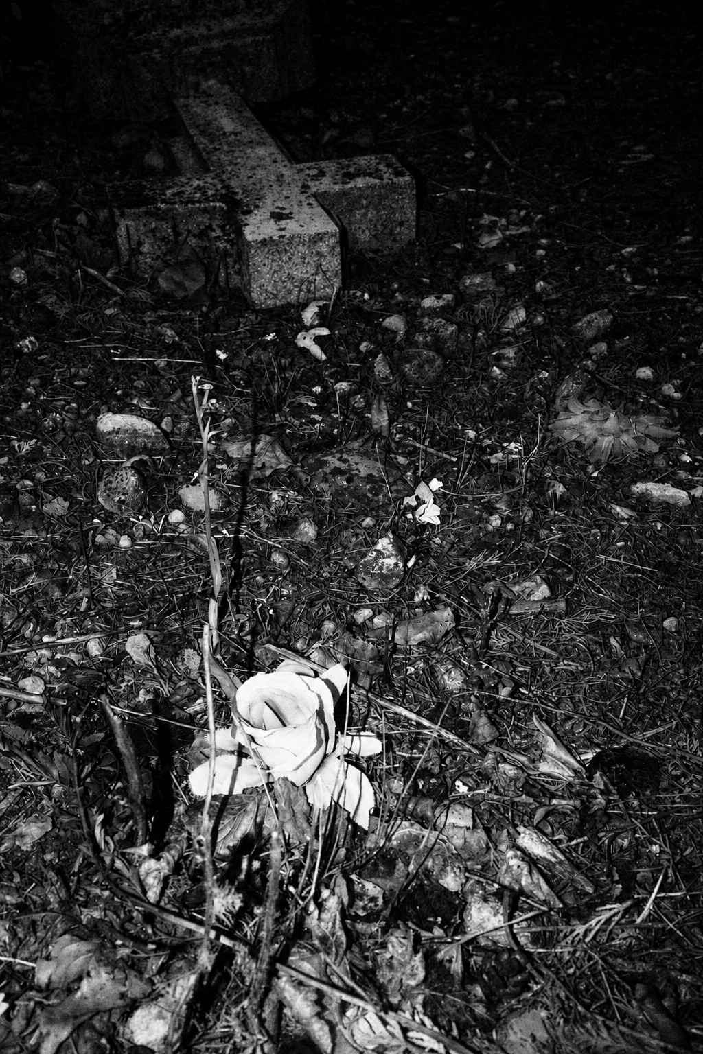 Tierra de nadie (21)