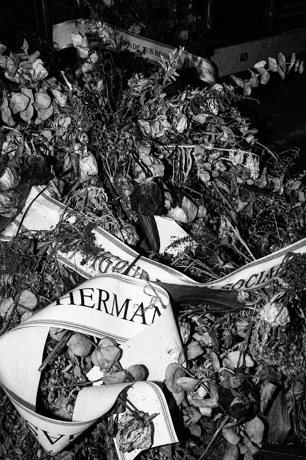 Tierra de nadie (23)