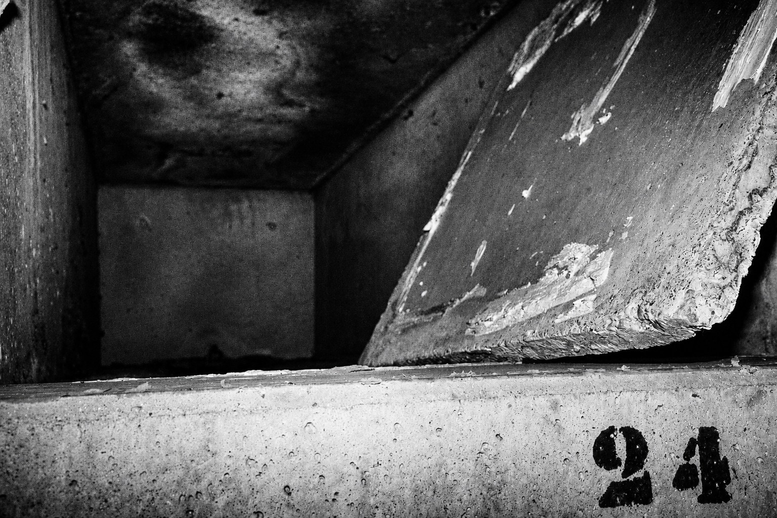 Tierra de nadie (29)