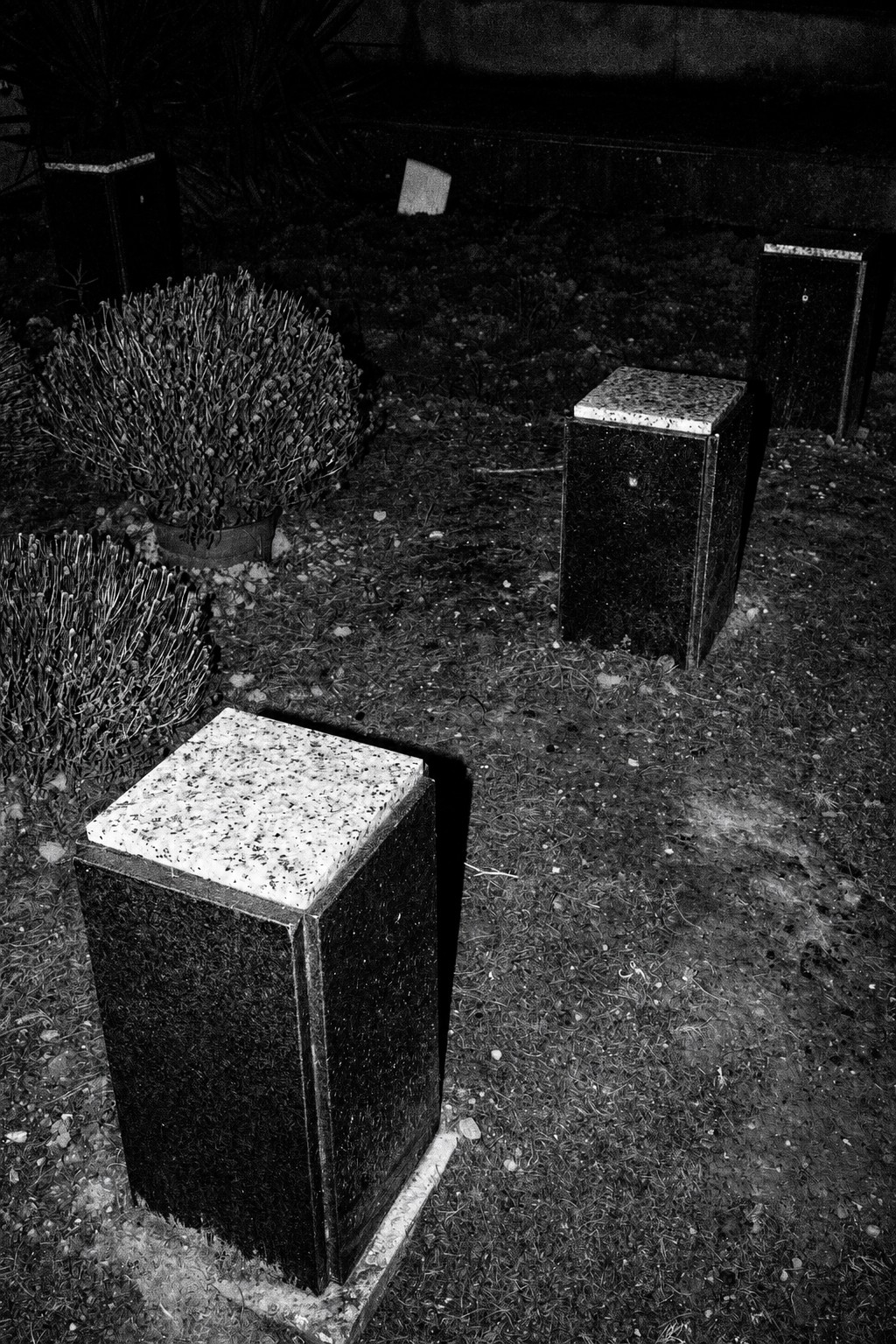 Tierra de nadie (31)
